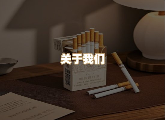 关于云歌烟网